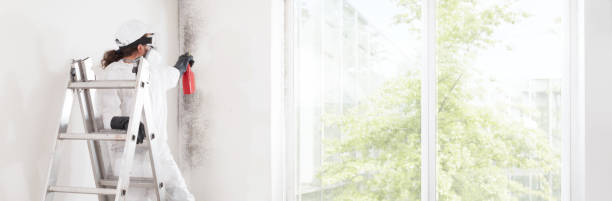 Best HVAC Mold Inspection and Cleaning  in Homedale, ID