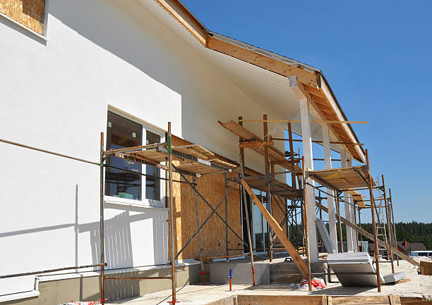 Forensic Mold Investigation in Homedale, ID